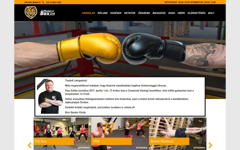 Budaörsi Box Club (budaorsiboxclub.hu) – kiemelt projektkép